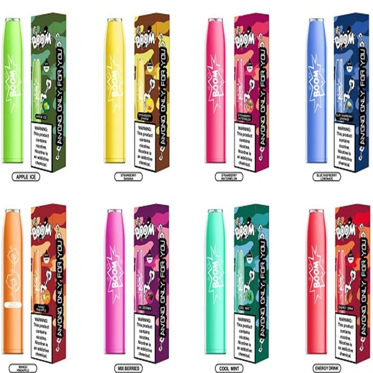 OEM / ODM 600 PUFFS pov tseg Electronic Cigarette Vapes