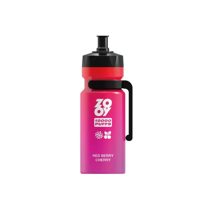 Zooy Kettle 10000