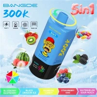 BANG DE 5 IN 1 300K