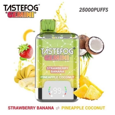 Tasfog gemini 25k